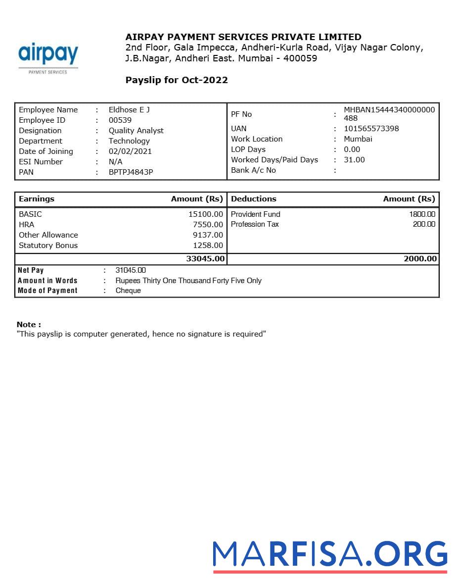 Realistic Airpay Payment Services payslip download for verification